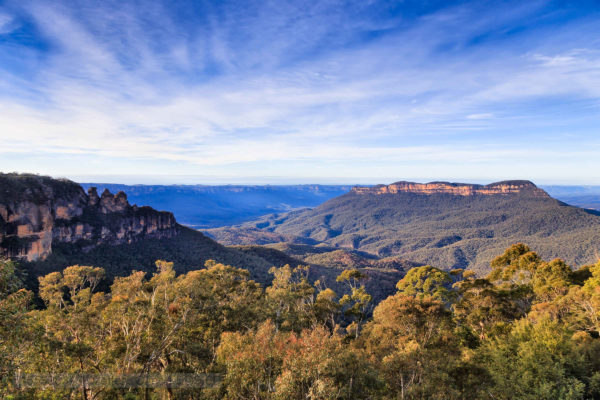 The Blue Mountains half day tour the Jamison Valley