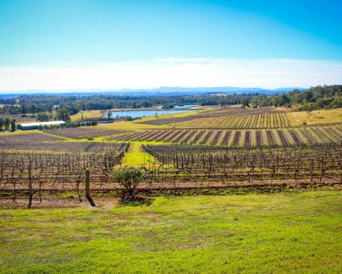 Hunter Valley Private Tour