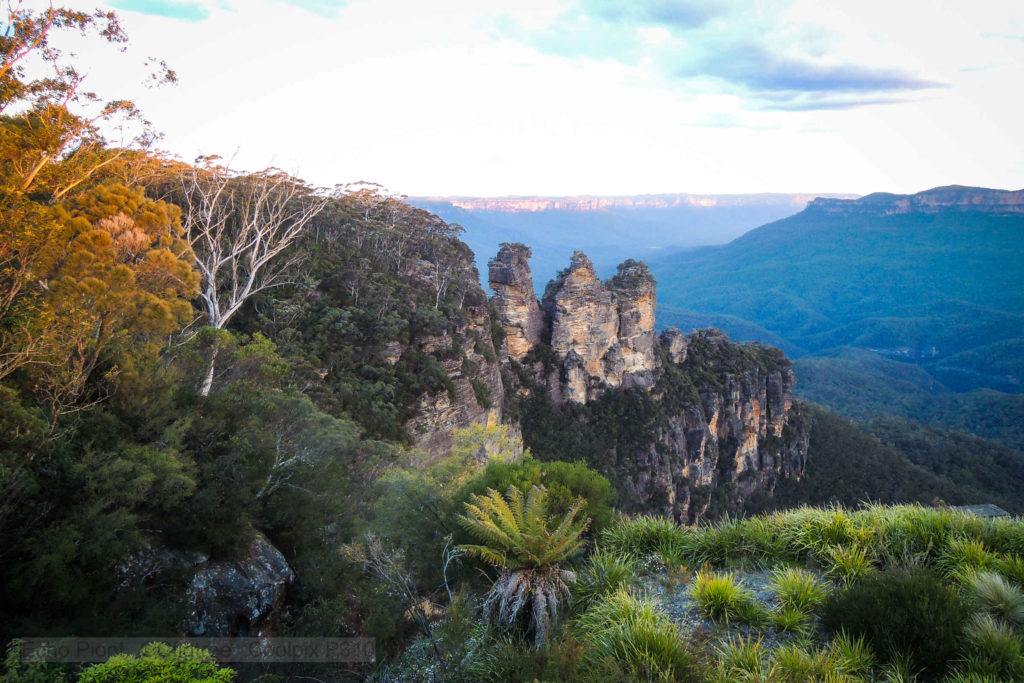 Three Sisters at Echo Point surrounded by ferns and gumtrees