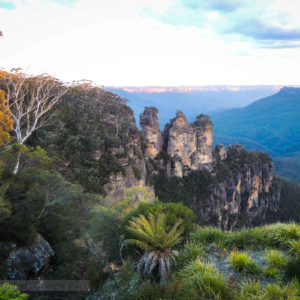 Three Sisters at Echo Point surrounded by ferns and gumtrees