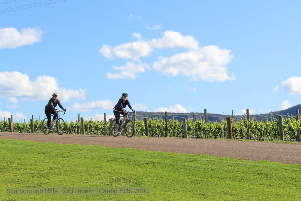 Two girls riding down hill on bikes past grape vines